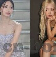 足球比分 爱彩-足球比分的魅力，爱彩背后的激情与理性交织
